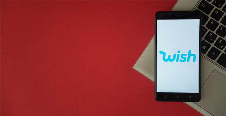 Wish: A successful startup story revolutionizing the shopping experience.